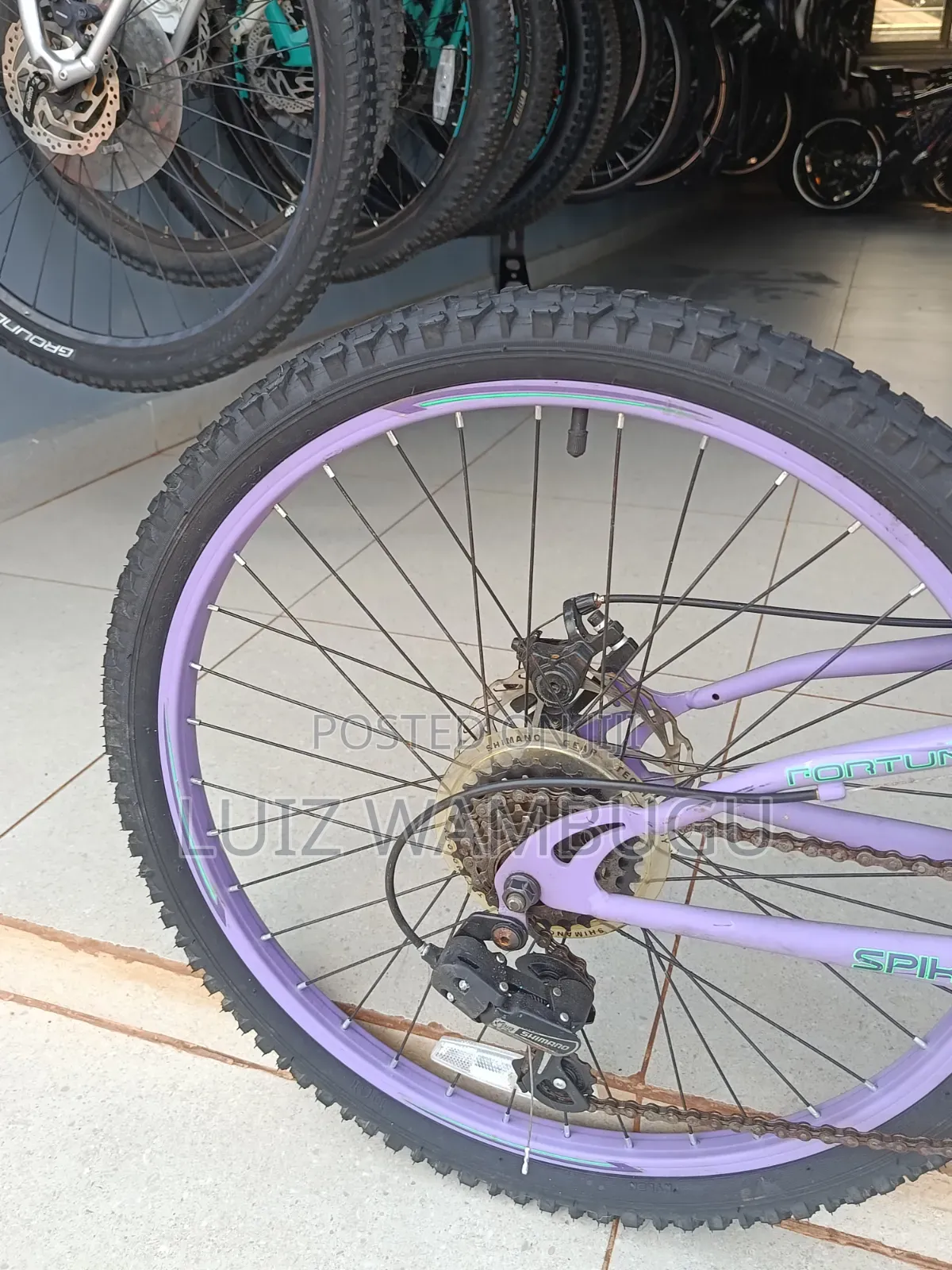 Bicycle Size 24