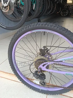 Bicycle Size 24