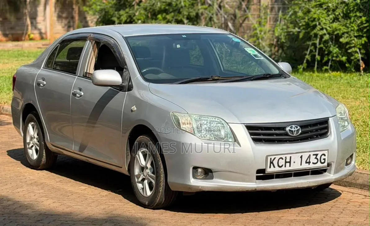 Toyota Axio 2009 Silver
