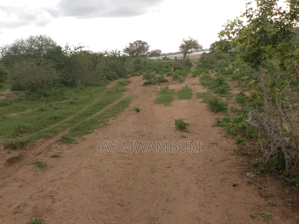 150 Acre Lango Baya Malindi