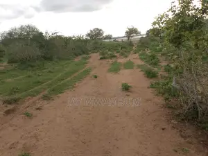 150 Acre Lango Baya Malindi