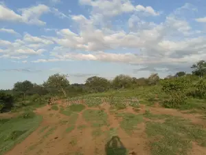 150 Acre Lango Baya Malindi