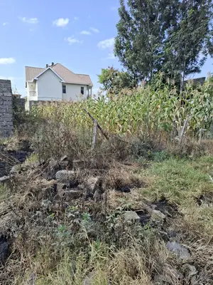 Syokimau Katani Plots on Quick Sale