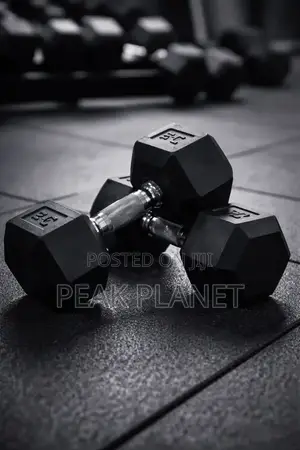 Hex Rubber Dumbbells – Professional Gym Quality