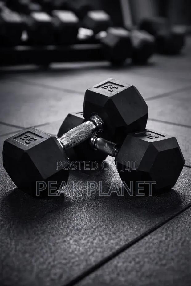Hex Rubber Dumbbells – Professional Gym Quality
