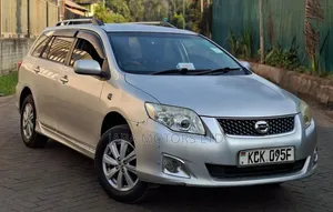 Toyota Corolla Fielder 2009 Silver