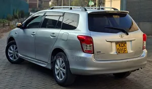 Toyota Corolla Fielder 2009 Silver
