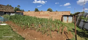 Commercial Plot Fir Sale in Maili Nne Flyover Eldoret