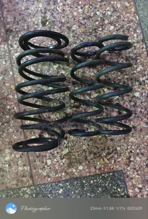 Nissan Teana J32 Springs
