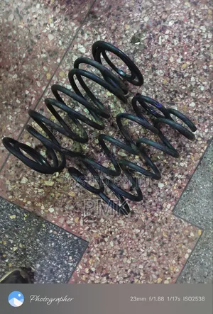 Nissan Teana J31 Springs