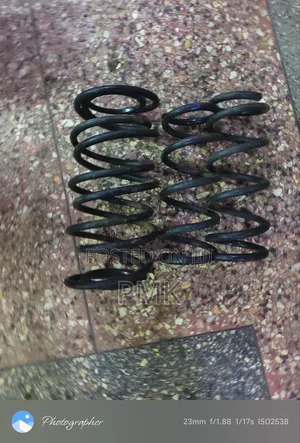 Nissan Teana J31 Springs