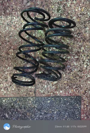 Nissan Extrail T30 Springs
