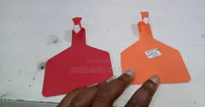 Colored Plain Z Tags for Cattles