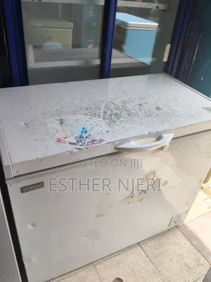 Ecomax Ex UK Deep Freezer Available