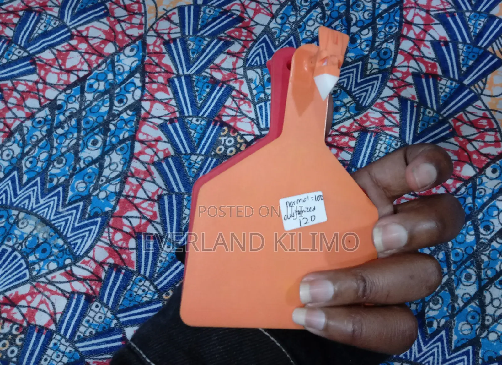 Cows Ear Z Tags