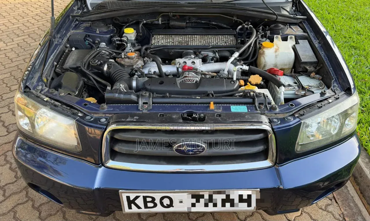 Subaru Forester 2005 Blue