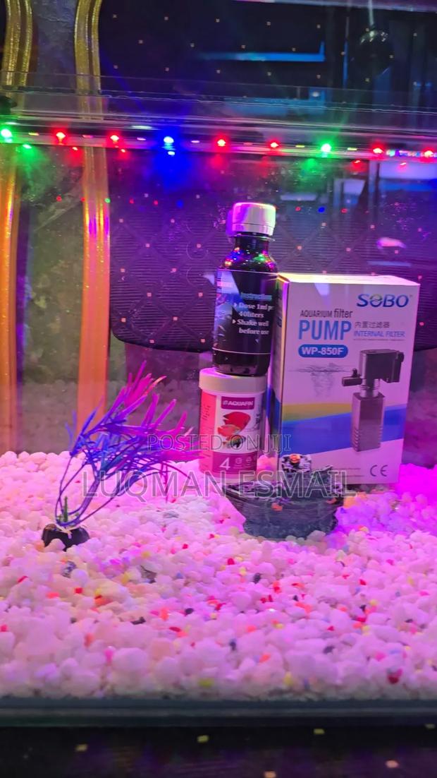 24_inch Aquarium for Sale