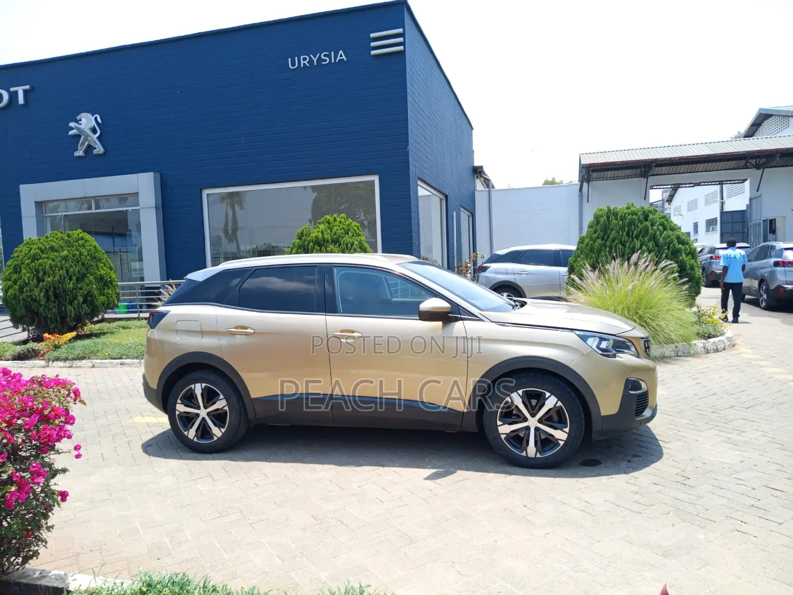 Peugeot 3008 2018 Gold