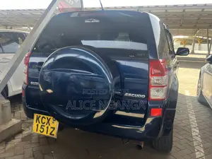 Suzuki Escudo 2012 Blue