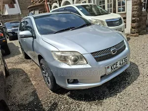 Toyota Corolla Fielder 2009 Silver