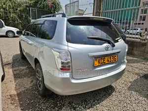 Toyota Corolla Fielder 2009 Silver