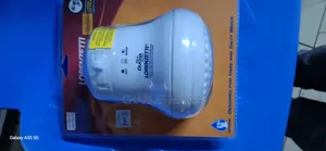 Lorenzetti Shower Head