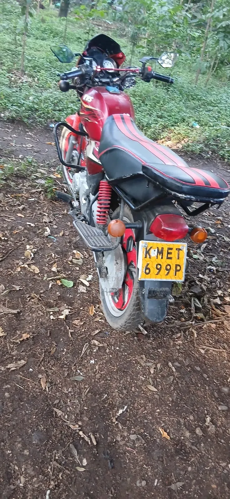 TVS 2019 Red
