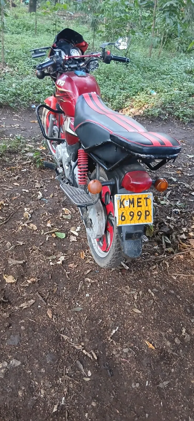 TVS 2019 Red