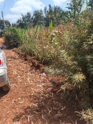 Quarter Acre at Mang U, Gatundu North