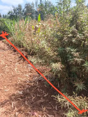 Quarter Acre at Mang U Gatundu North