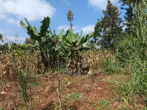 Quarter Acre at Mang U Gatundu North