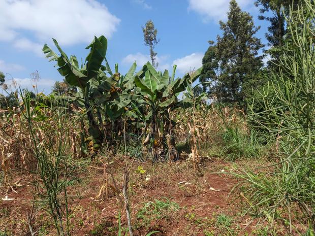 Quarter Acre at Mang U, Gatundu North - thumbnail 4