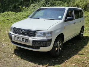 Toyota Probox 2006 White