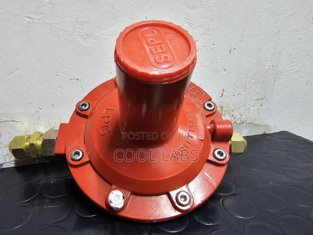 High Pressure Rego Regulator LPG Gas Regulator Commercial Gas Fittings
