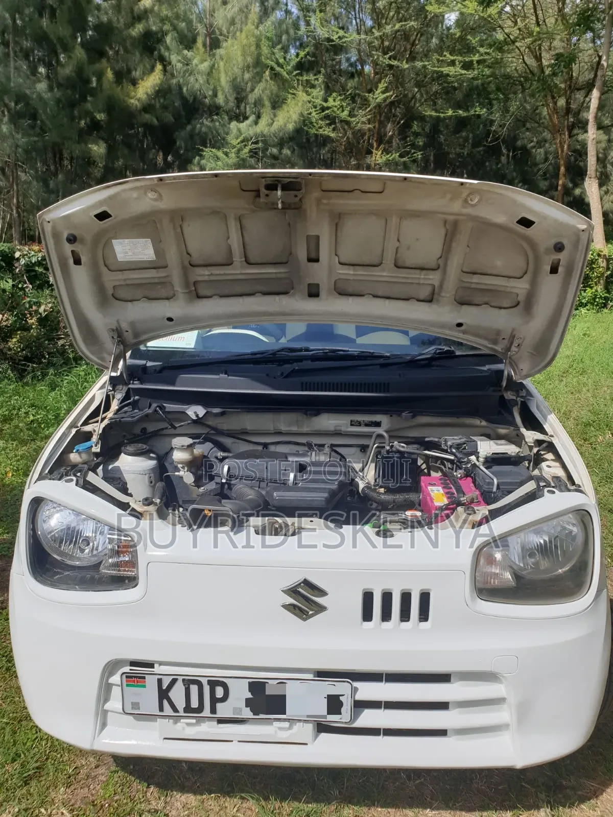 Suzuki Alto 2016 White