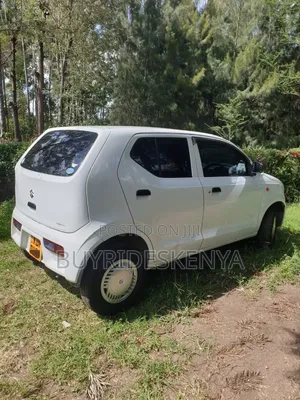 Suzuki Alto 2016 White