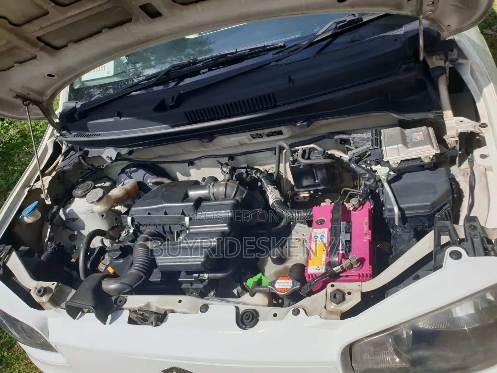 Suzuki Alto 2016 White