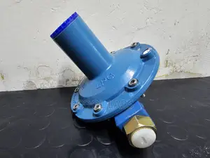 Low Pressure Rego Regulator LPG Gas Regulator |Commercial Gas Fittings