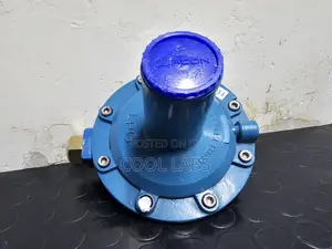 Low Pressure Rego Regulator LPG Gas Regulator |Commercial Gas Fittings
