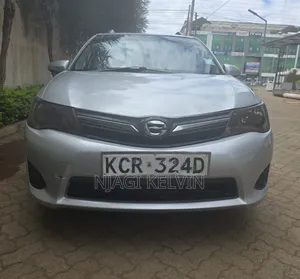 Toyota Corolla Fielder 2013 Silver