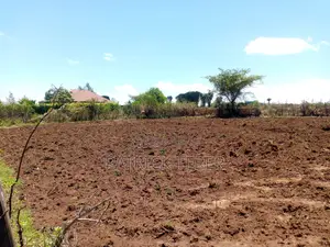 1/4 Plot at Kabarak