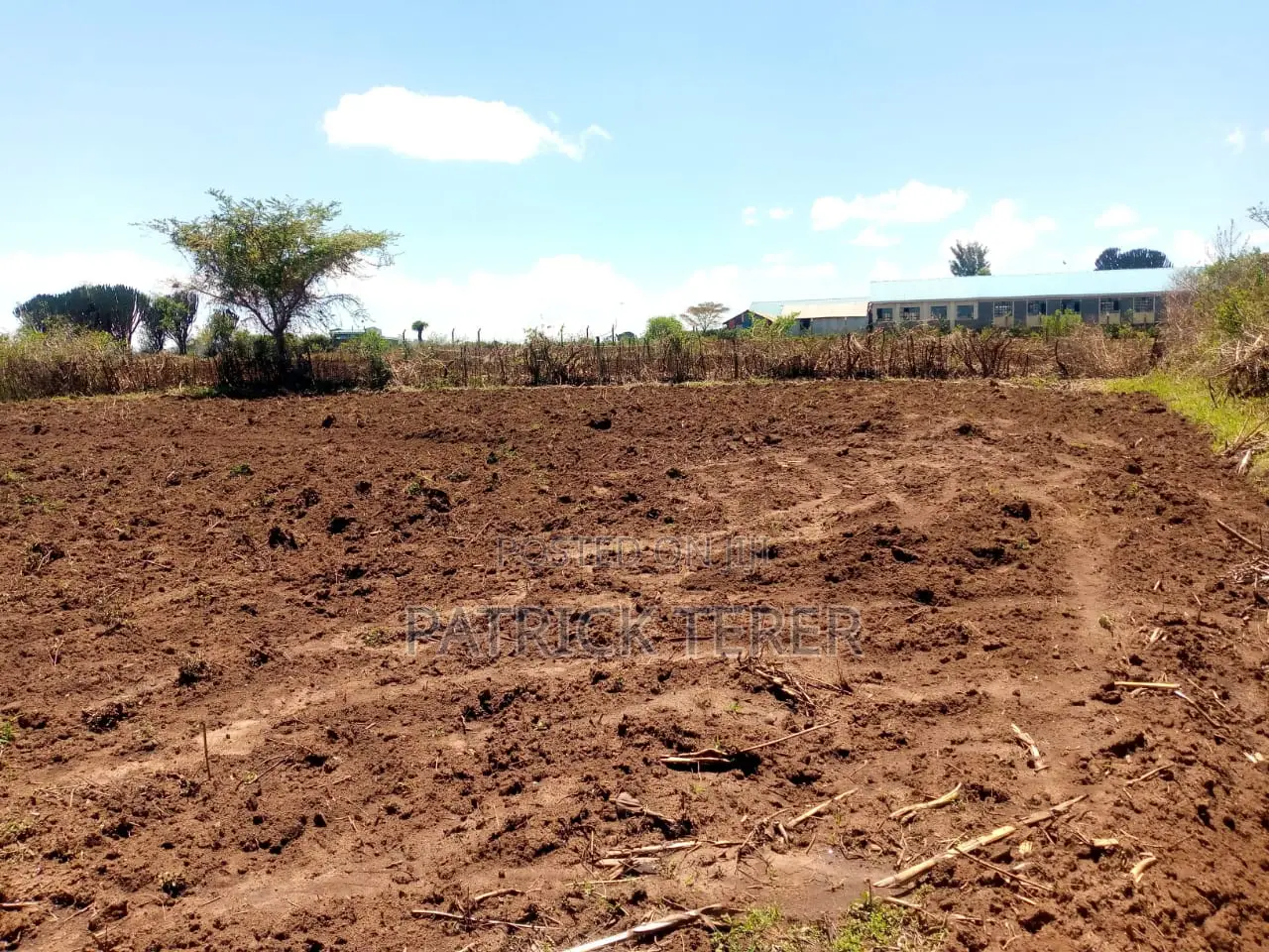 1/4 Plot at Kabarak