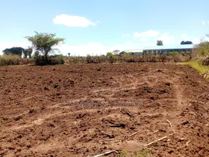 1/4 Plot at Kabarak