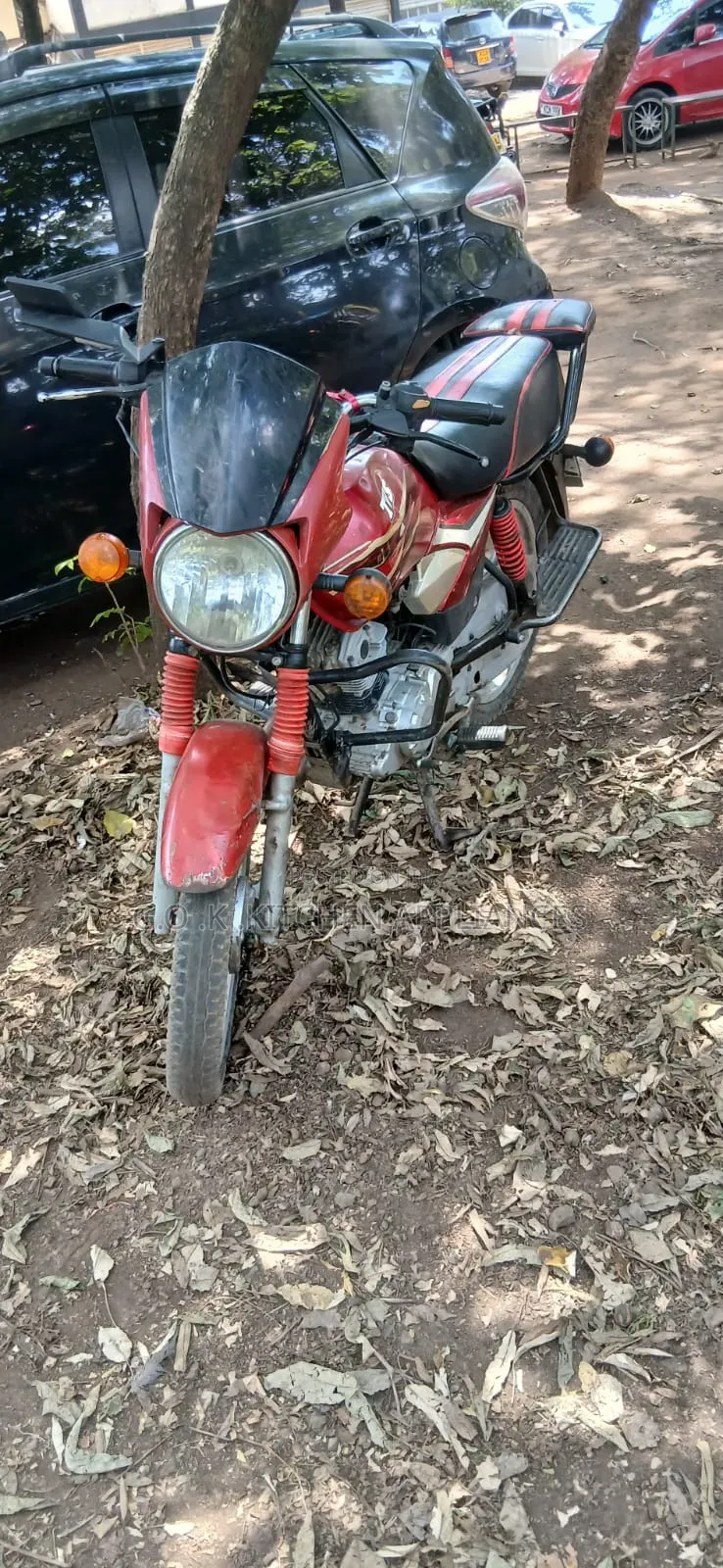 TVS 2019 Red