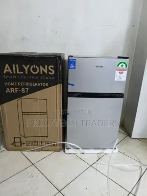 AILYONS 87L Double Door Refrigerator – Silver