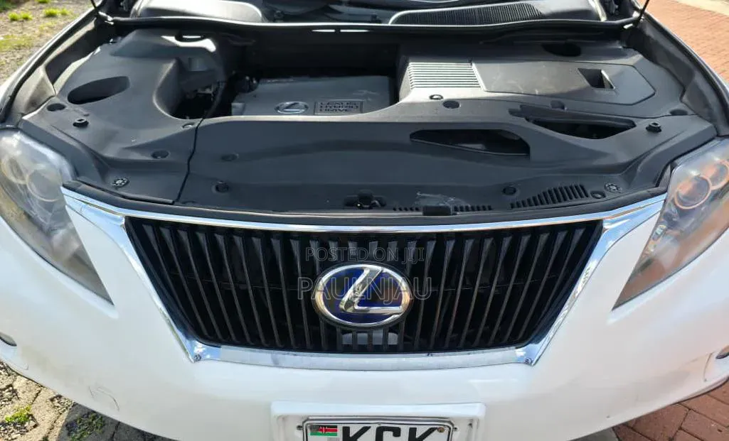 Lexus RX 2010 White