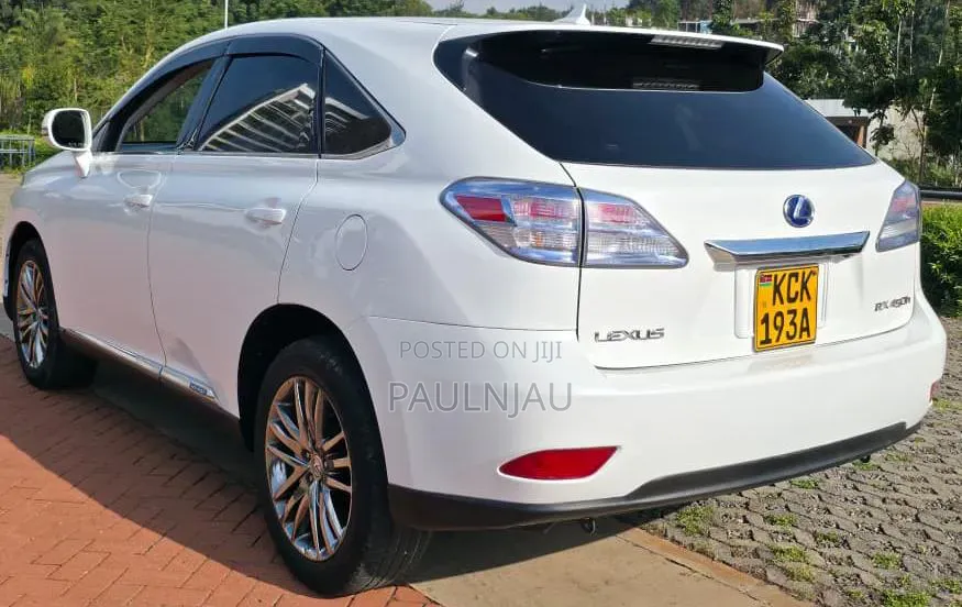 Lexus RX 2010 White