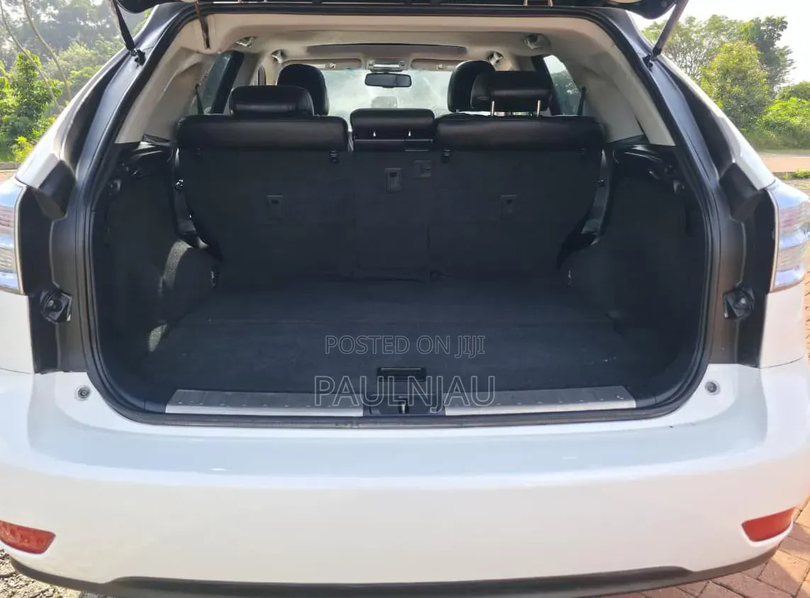 Lexus RX 2010 White