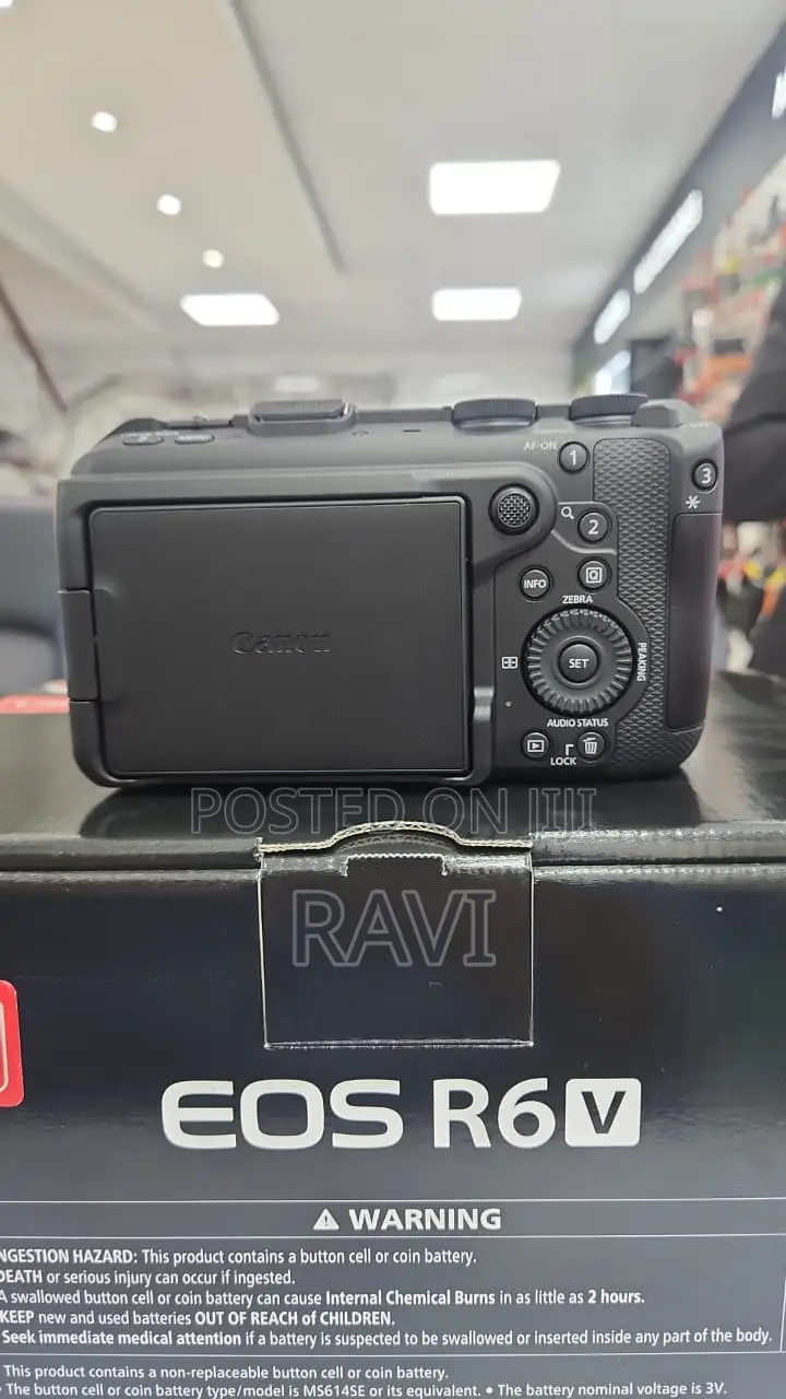 Canon Camera R6V