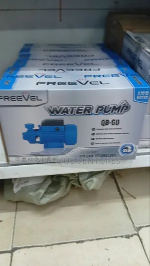 QB-60 Freevel Italian Technology Water Pump